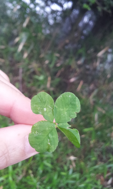 2012-07-05 15.47.53.jpg